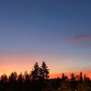 Meet your Posher, 芮希